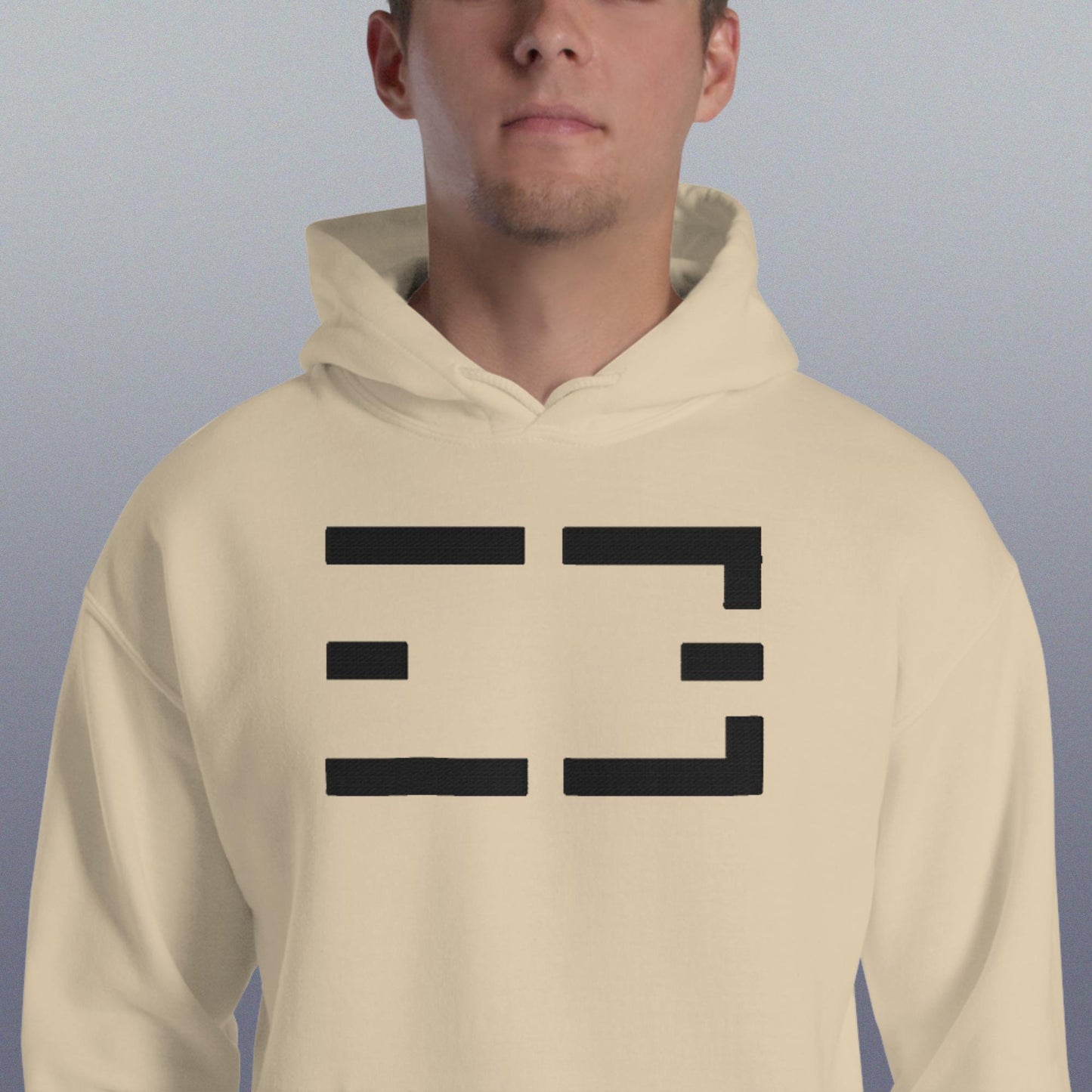 Embroidered Hoodie | Black on Light